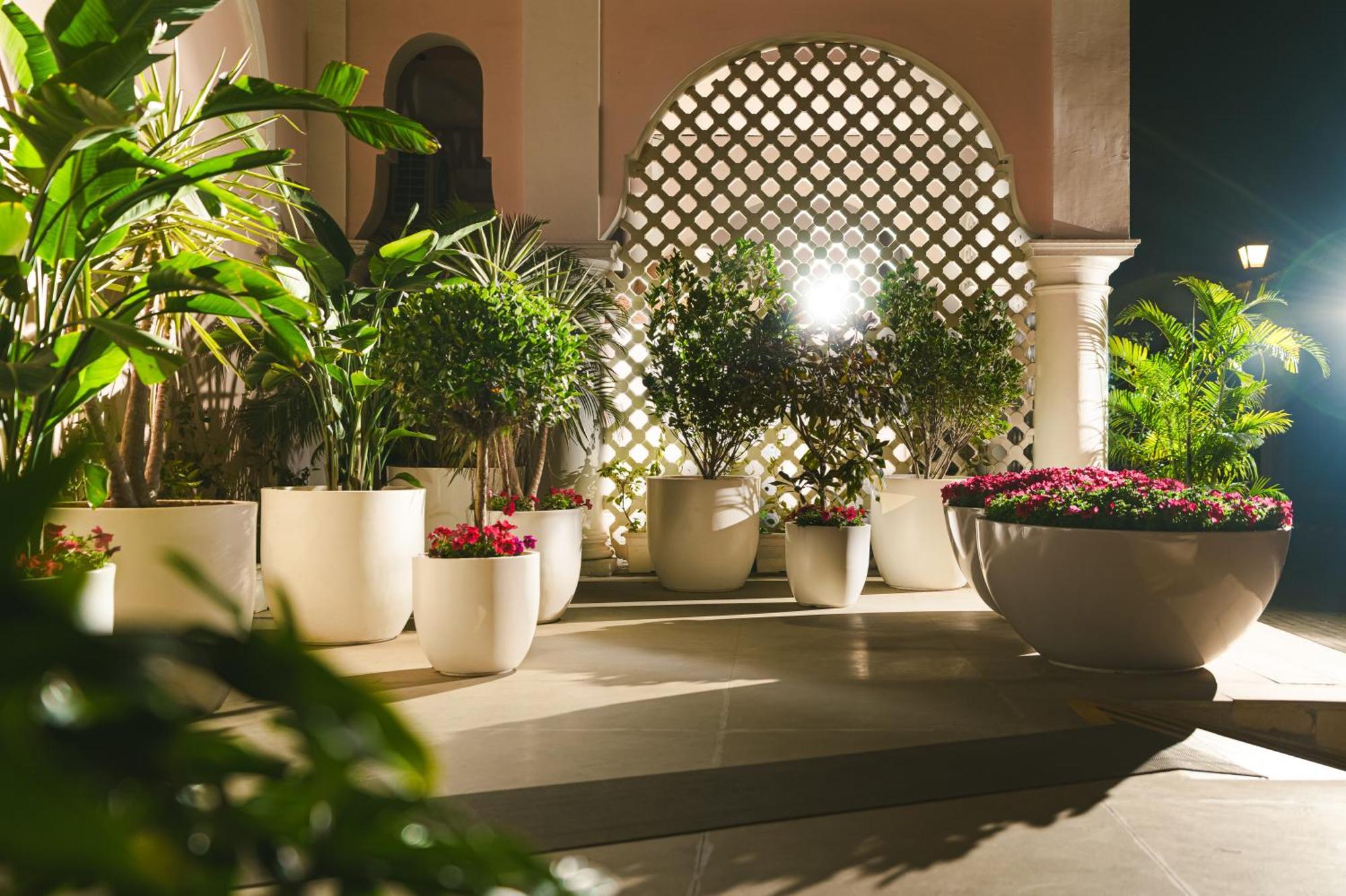 Dlf Club 5 Hotel Gurgaon Buitenkant foto